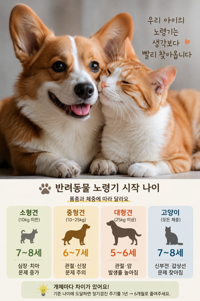 반려동물 노령기 시작 나이 품종별 안내