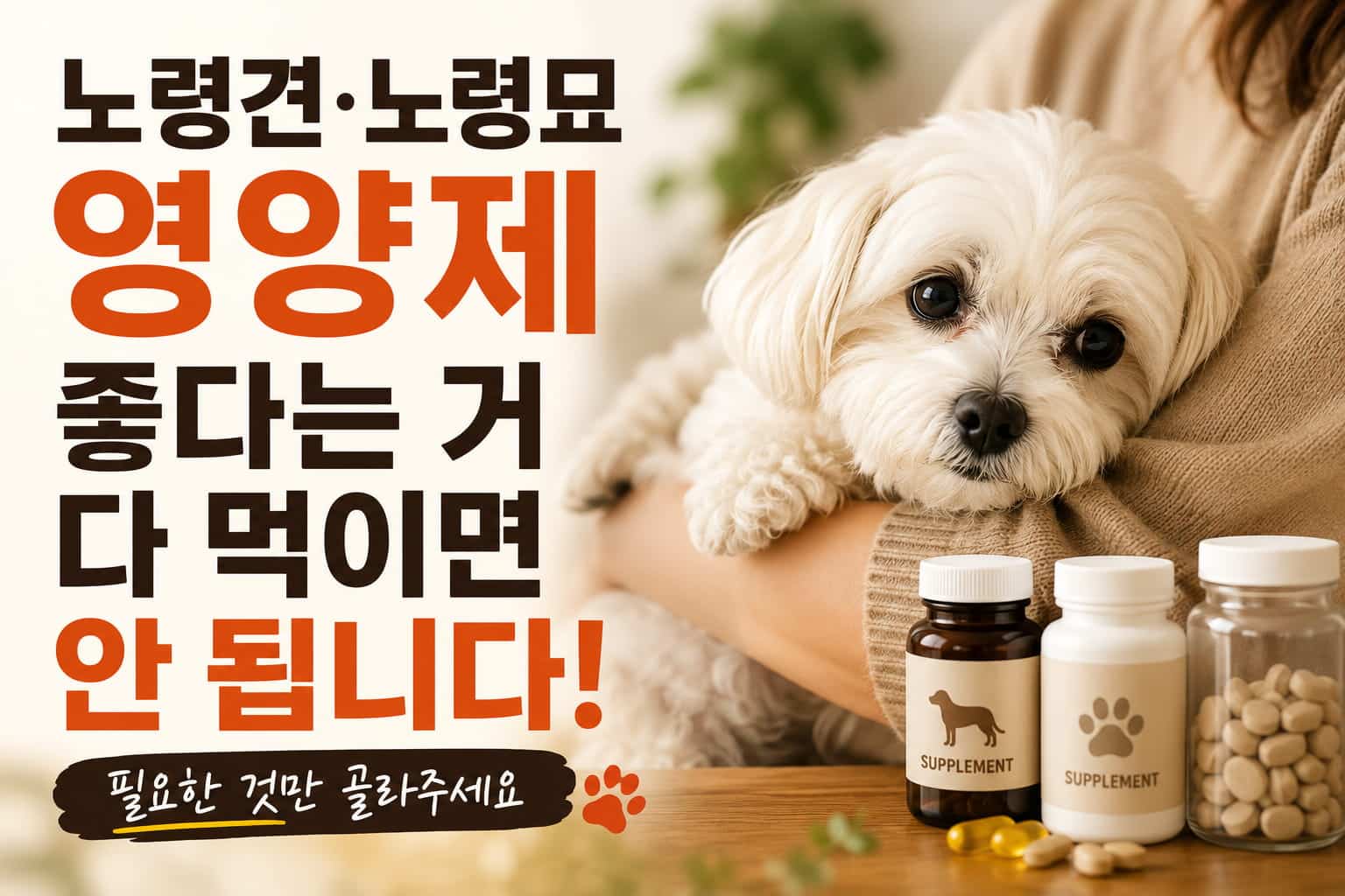 노령견 노령묘 영양제 고르는 법 안내